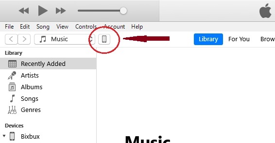 Buka iTunes > Klik ikon iPhone